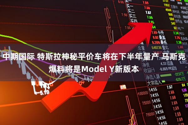 中期国际 特斯拉神秘平价车将在下半年量产 马斯克爆料将是Model Y新版本